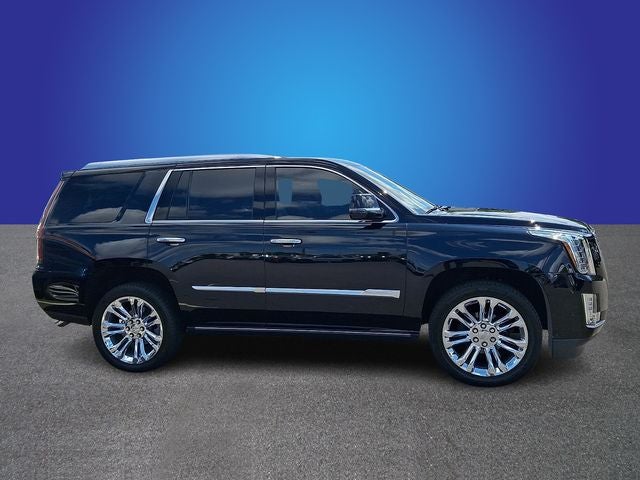 2020 Cadillac Escalade Platinum Edition