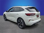 2025 Ford Escape Hybrid ST-Line Elite
