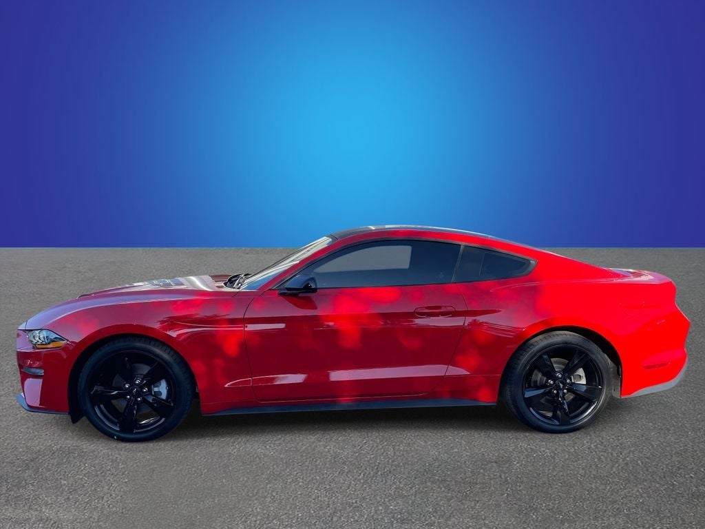 2023 Ford Mustang EcoBoost