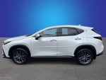 2024 Lexus NX 350 Base