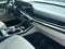 2025 Kia Carnival Hybrid SX