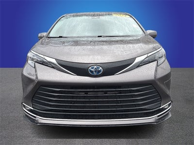 2024 Toyota Sienna XLE 7 Passenger